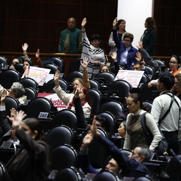 Diputados